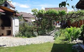 Pensiunea Brad Holiday Home