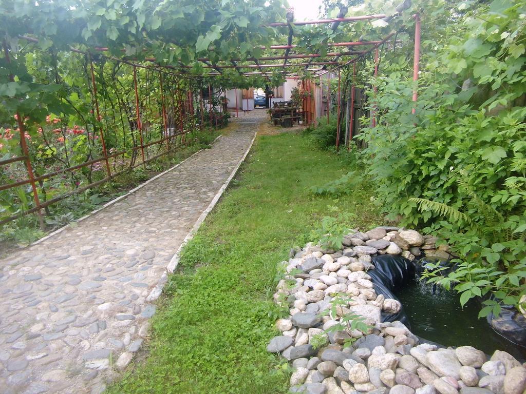 Pensiunea Brad Gura Râului Exterior foto