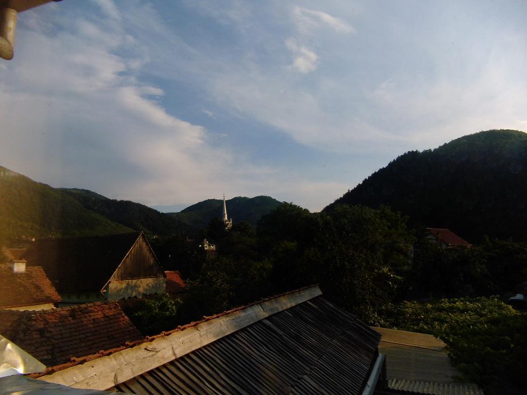Pensiunea Brad Gura Râului Exterior foto